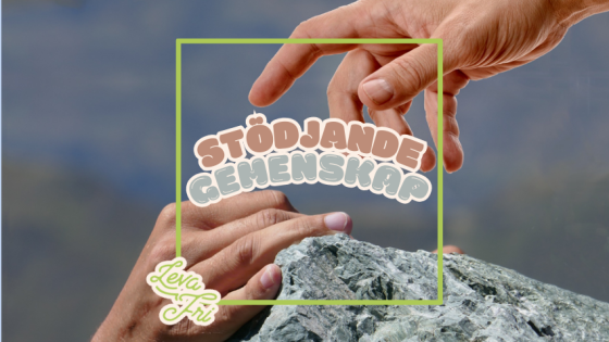 Friskfaktor 25: Stödjande gemenskap