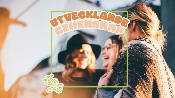 Friskfaktor 26: Utvecklande gemenskap, vägen till tillväxt