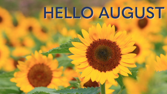 August 2026 Marketing Calendar
