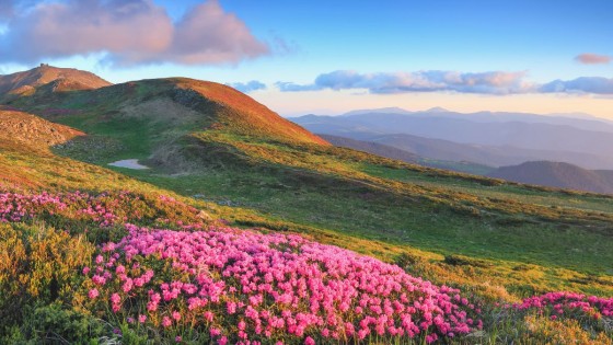 Awakening the Wisdom of Air