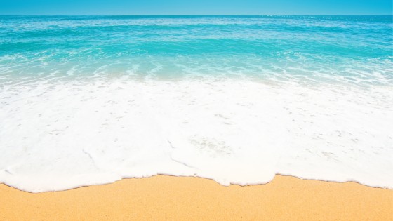 Stability, Nourishment, and the Art of Quiet Becoming