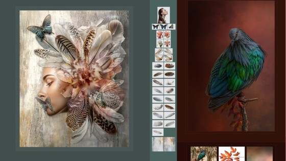 ANNOUNCING MY UPCOMING MASTER ARTIST COURSES