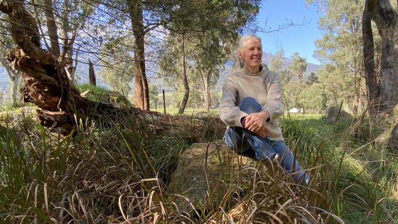 Do You Really Know What You Want?