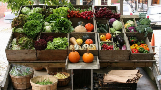 Are You A New Generation Homesteader?