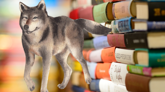 Wolf Magic Called Me In The Library