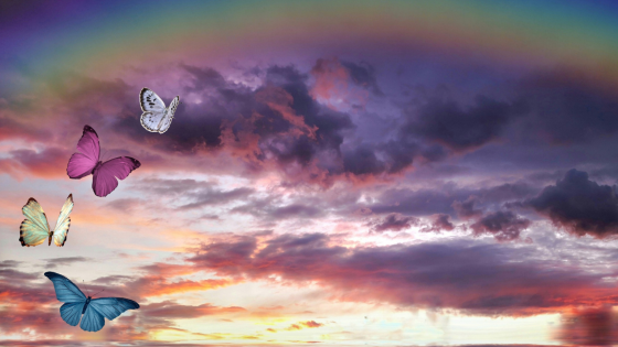 Softening Into Possibility: A Path to Inner Peace