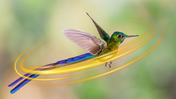 AIR: The Whispers of the Sylphs