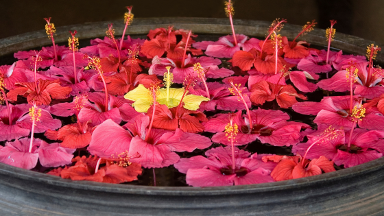 5 Simple Ways To Ensure Protection