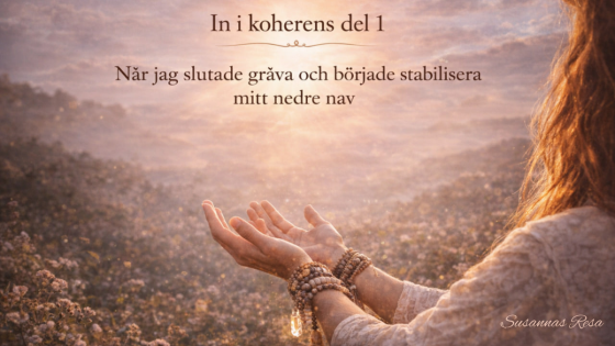 När jag slutade gräva och började stabilisera mitt nedre nav