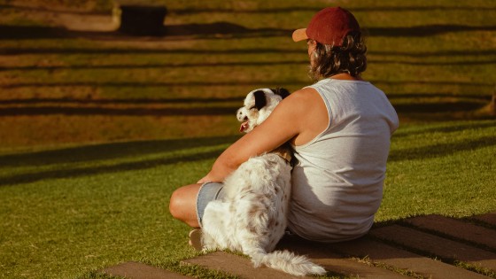 The Story we tell about the Dog