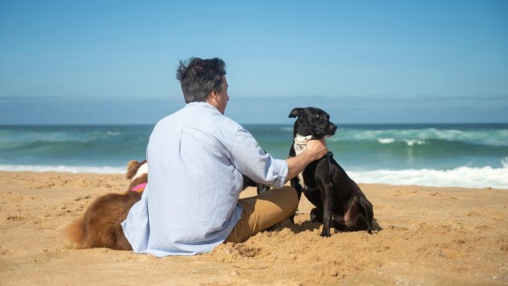 Adopting a Dog - A Blessing and a Curse?