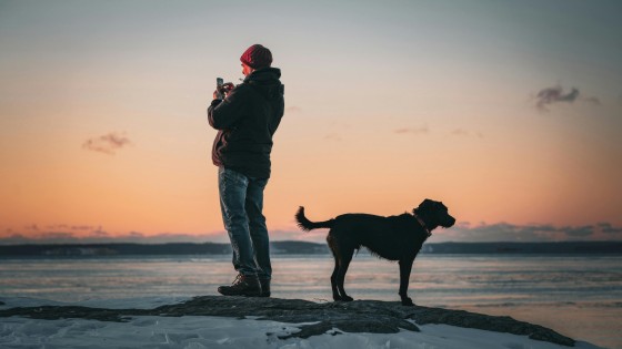 Are you helping your dog - or controlling it?