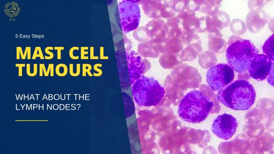 Mast Cell Tumours in Dogs: Advances in Lymph Node Evaluation and Management
