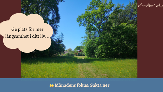 Månadens fokus maj: Sakta ner