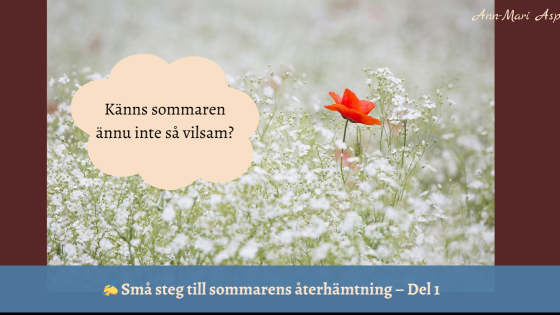 Månadens fokus juni: När sommaren inte känns vilsam
