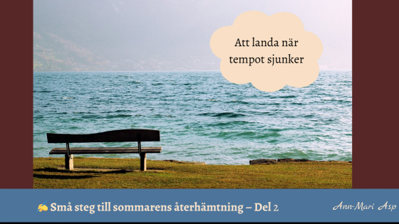 Månadens fokus juli: Att landa när tempot sjunker