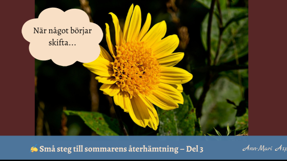 Månadens fokus augusti: När något börjar skifta