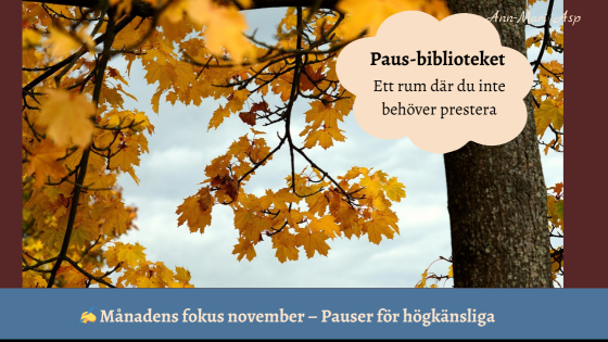 Månadens fokus november – Pauser för högkänsliga