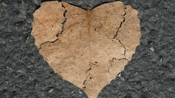 What is Your Body Trying to Tell You? MINDBODY | PART 2: The Historian