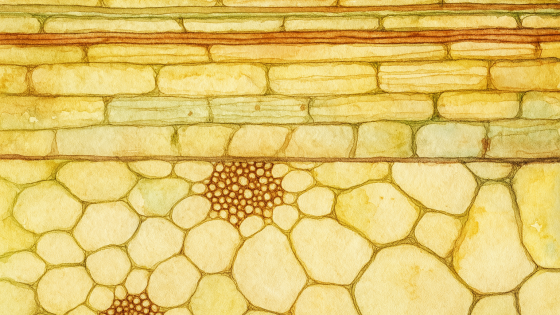 🔬 Up Close and Personal: Why Analyze in Color