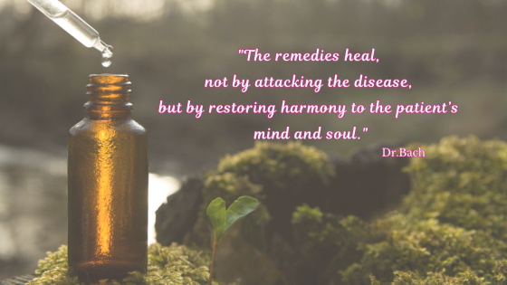 Bach Flower Remedies and how they help