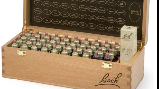 Which Bach Flower Remedy Do You Need? A Simple Guide to Understanding Your Emotions
