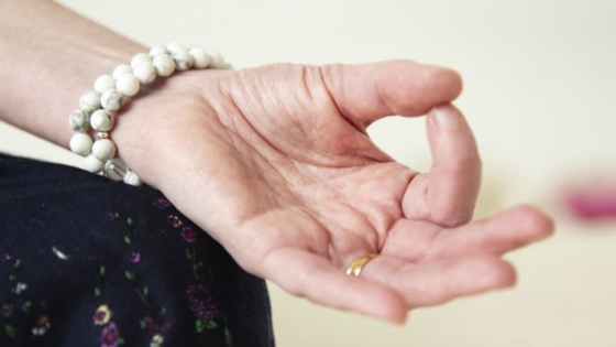 När Ayurveda & Yoga blev en del av livet 🧘‍♀️✨