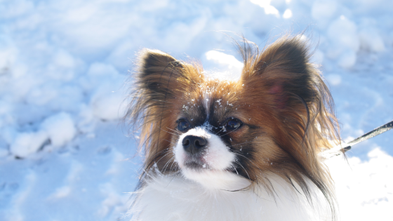 Från storm till stillhet – och vidare