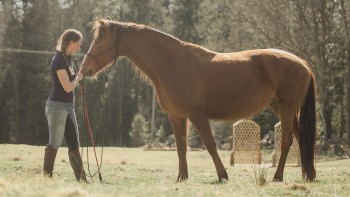 course image