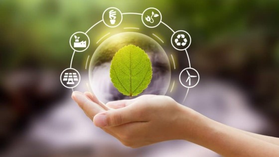 Sustentabilidade na Logística: Eficiência e Responsabilidade nas Operações Globais
