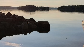 course image
