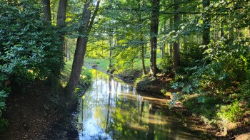 course image