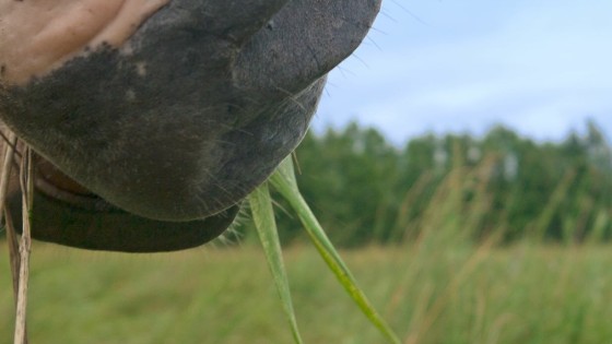 Inspirerad till max!