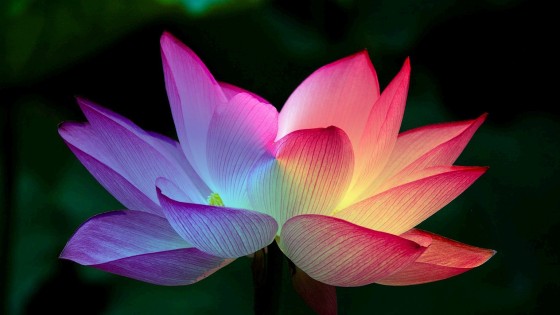 Vad är kundaliniyoga?