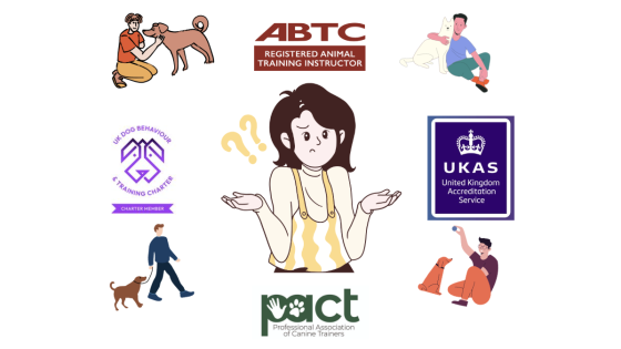 What to Look for When Hiring a Dog Trainer (And the Red Flags to Avoid)