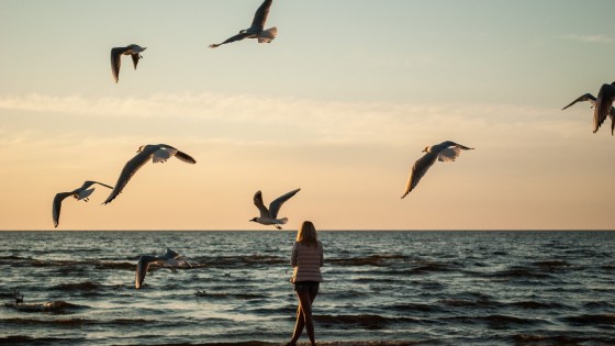 Sobre mentes perdidas