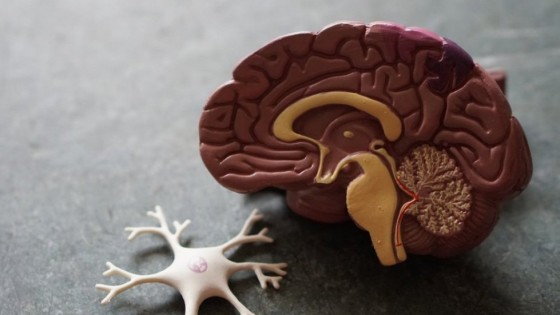 O maior aliado ou o pior dos inimigos