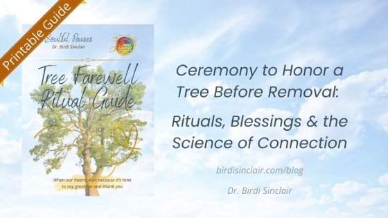 Ceremony to Honor a Tree Before Removal: Rituals, Blessings & the Science of Connection