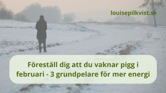 Föreställ dig att du vaknar pigg i februari - 3 grundpelare för mer energi