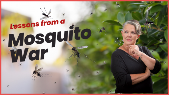 Business Storytelling and Mosquitoes: Insights from Our Sleepless Nights in Portugal: