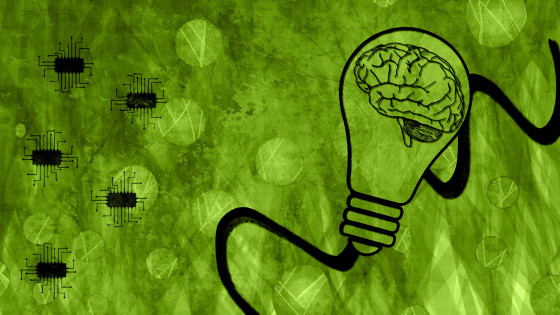 What Kind of Mindset Do You Have?