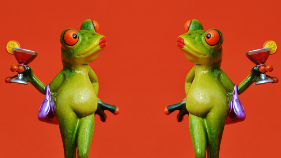 Are You Self Confident or Arrogant?