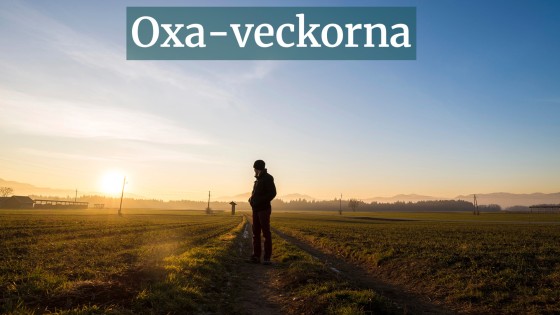 Att orka fortsätta – också när ingen ser