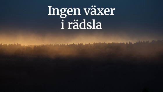 Att få trygghet, ansvar och engagemang att växa – psykologisk trygghet i fokus