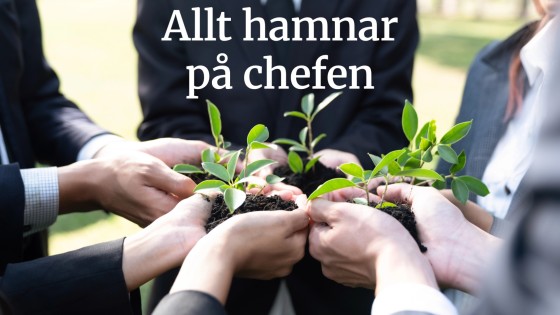 När ansvaret krymper – och vad som kan få det att växa igen