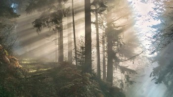 course image