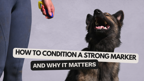 How to Condition a Strong Marker (and Why It Matters)