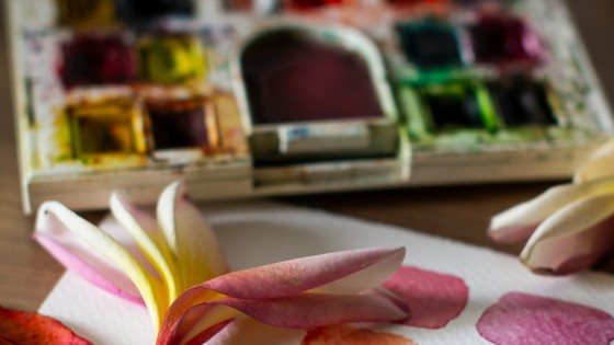Watercolour for Beginners: The Materials You Actually Need