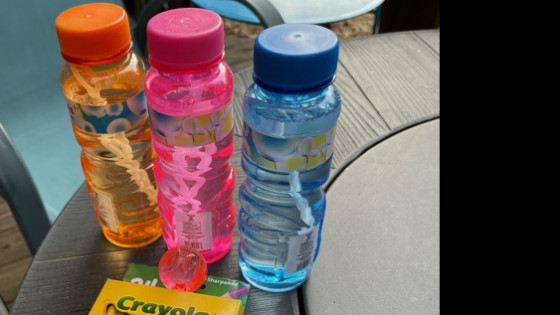 Fun is a Key Brain State! 