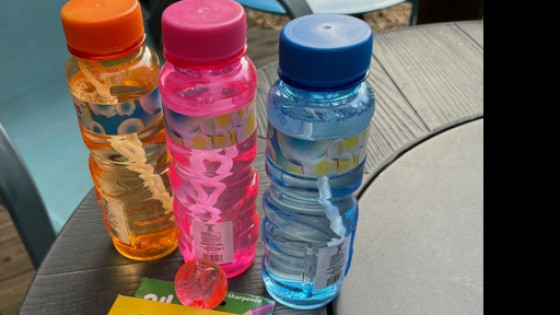 Fun is NOT Optional, it is a well needed brain state! 